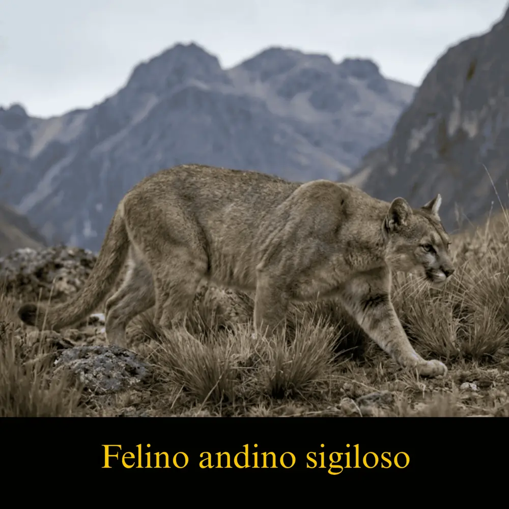 Animales del Perú