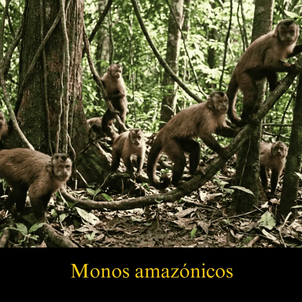 Lugares Turísticos de Madre de Dios